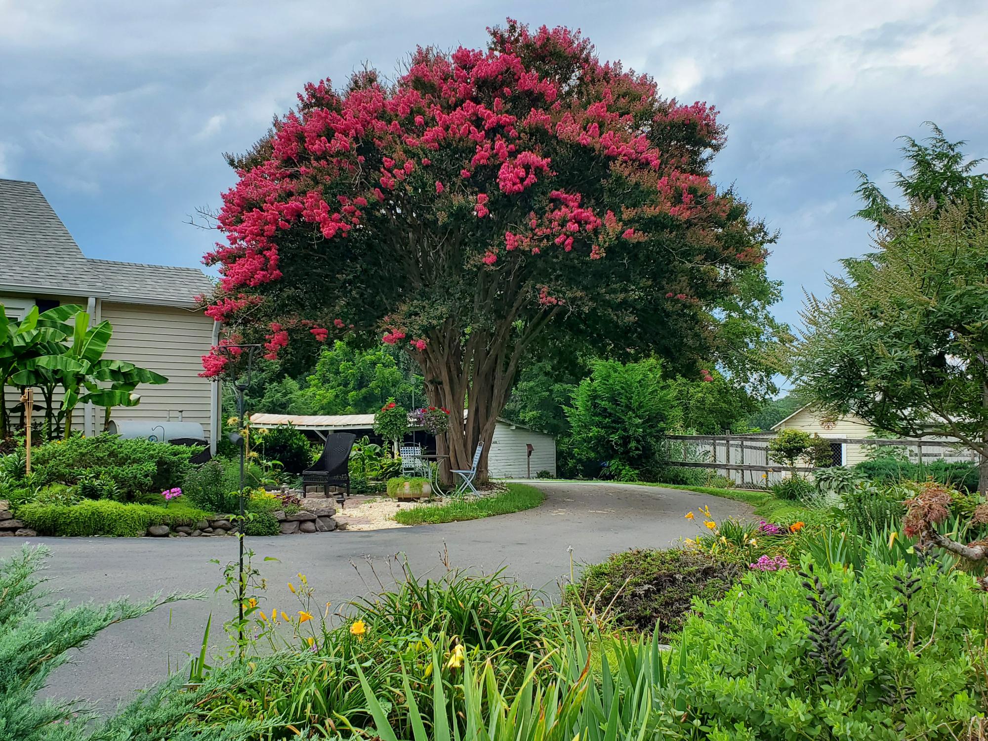 Colorful flowers and greenery surrounds a front yard and patio