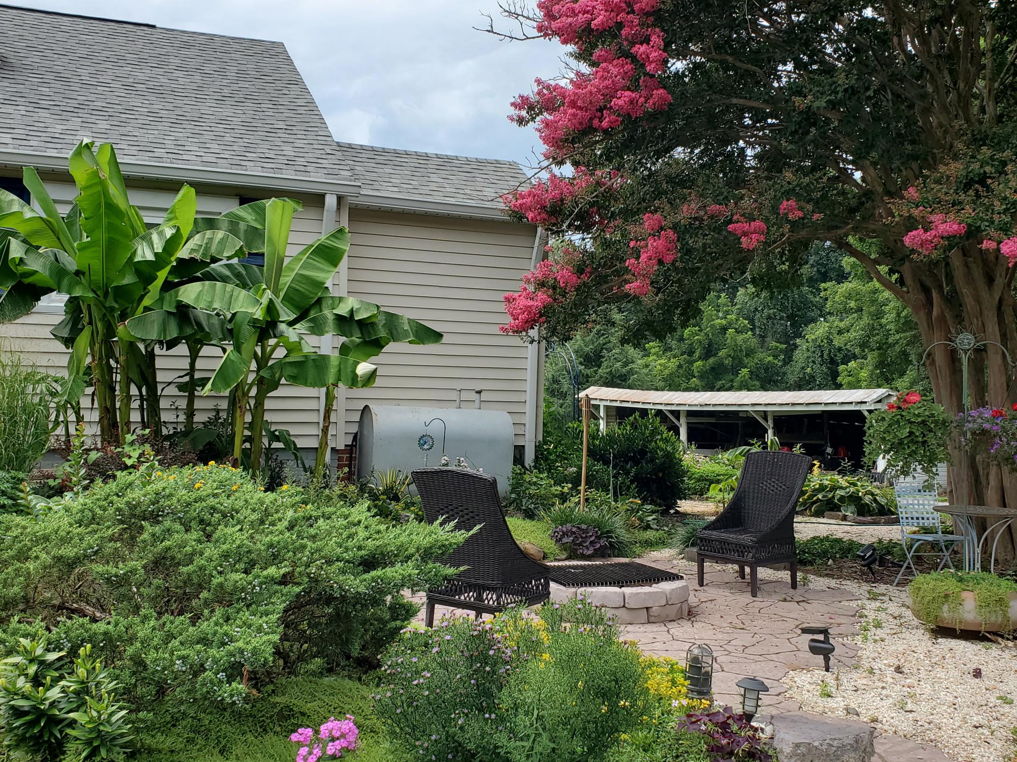 Patio with greenery surrounding it