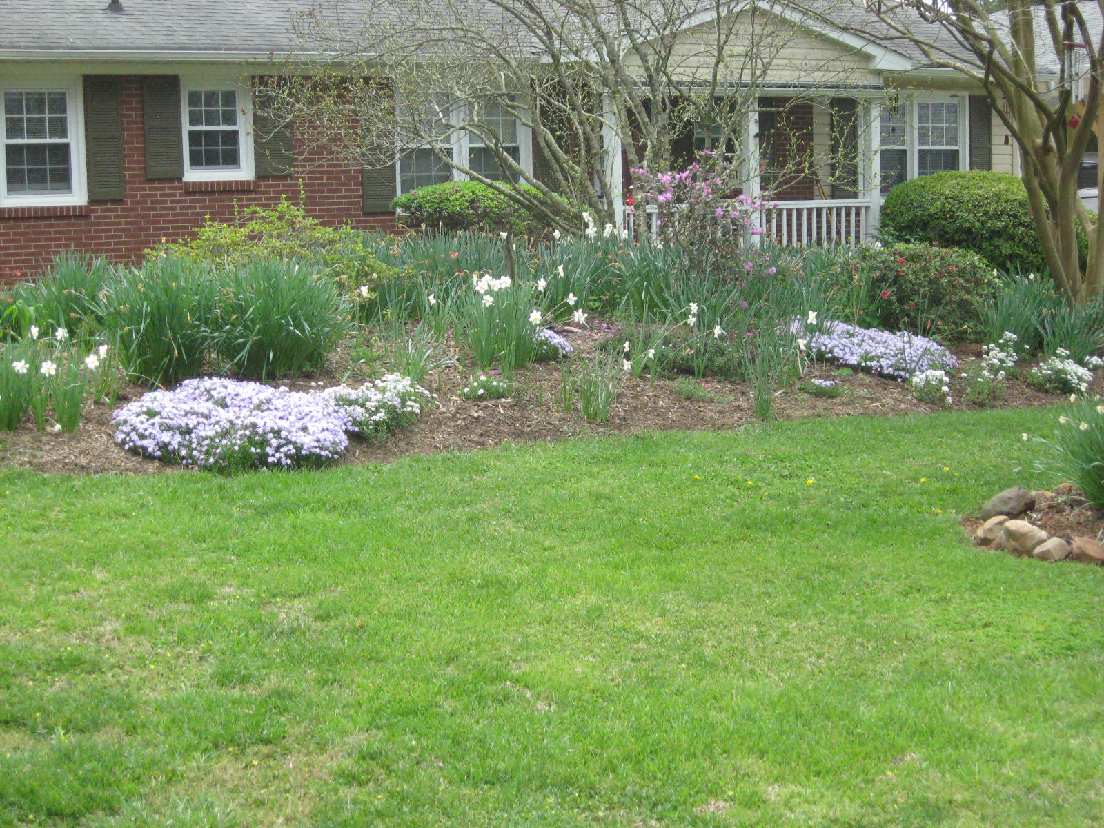 Garden growing in front of house with green yard