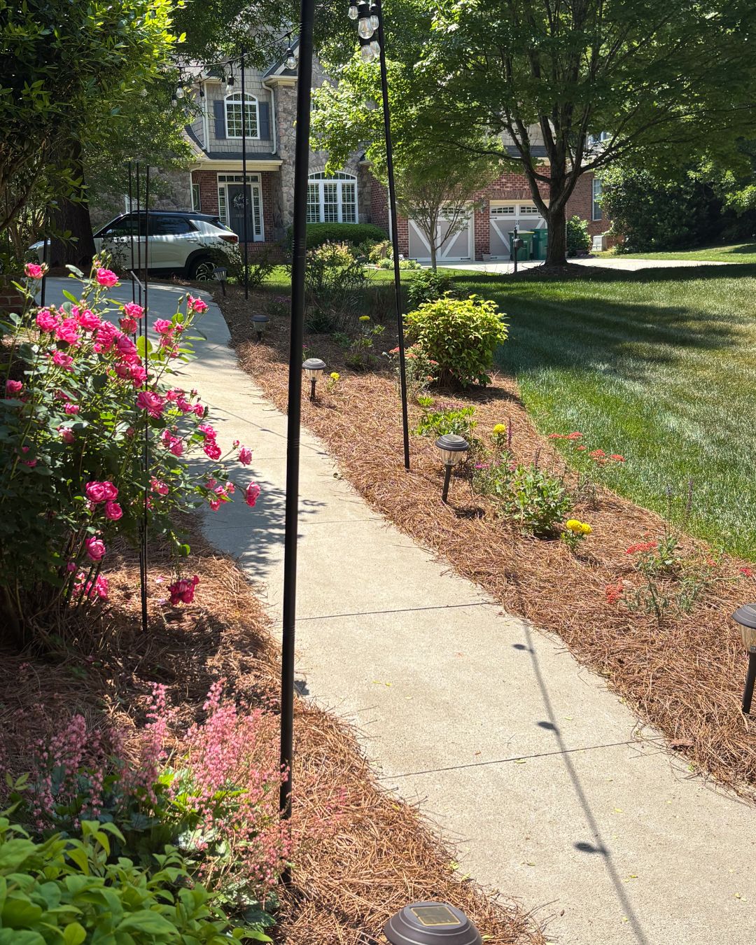 A front pathway to a home is lined with pine needles and vibrant pink and yellow flowers.