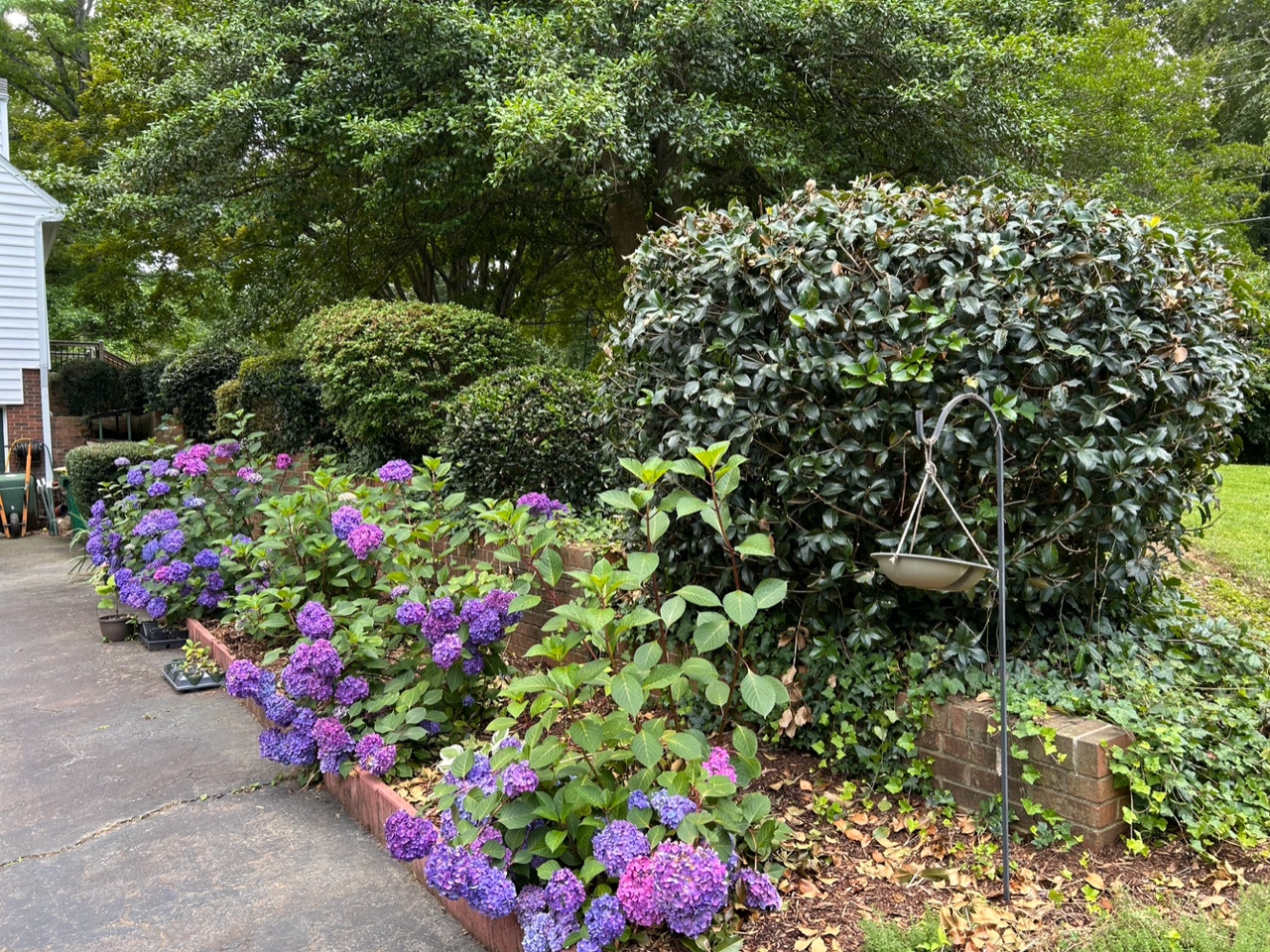 Shrubs and flowers frame a driveway