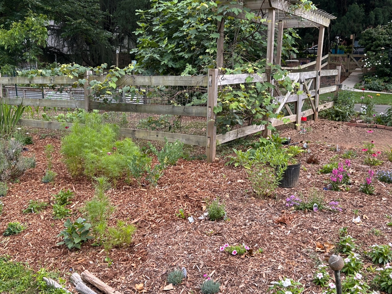 A beautiful luscious lawn surrounds an island of greenery with a wooden fence running through it.