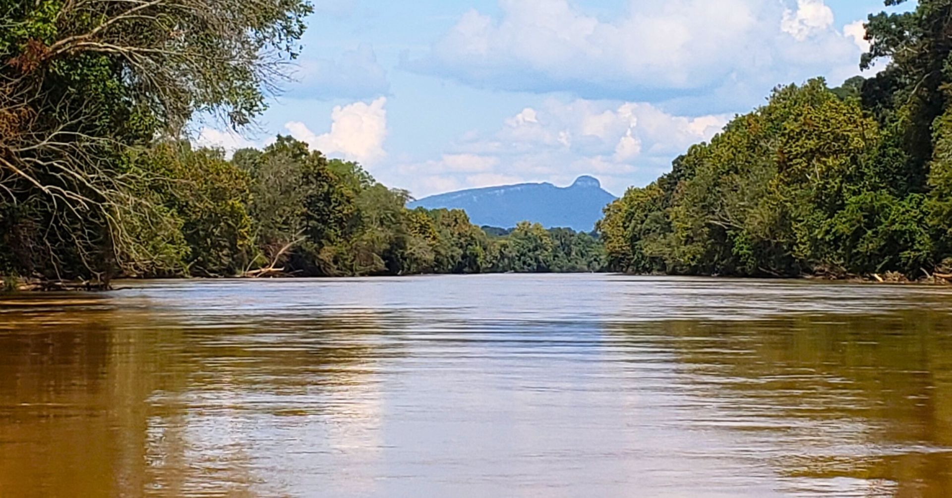 View from the Yadkin River of green trees and Pilot Mountain in the distance