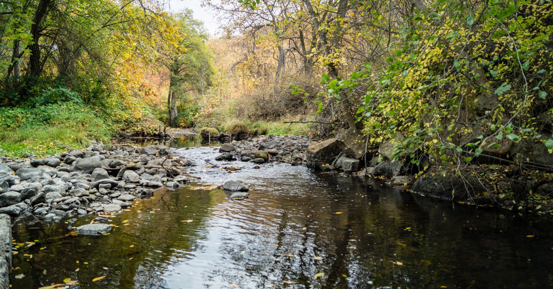 Green vegetation lines a calm creek with rounded stones in it