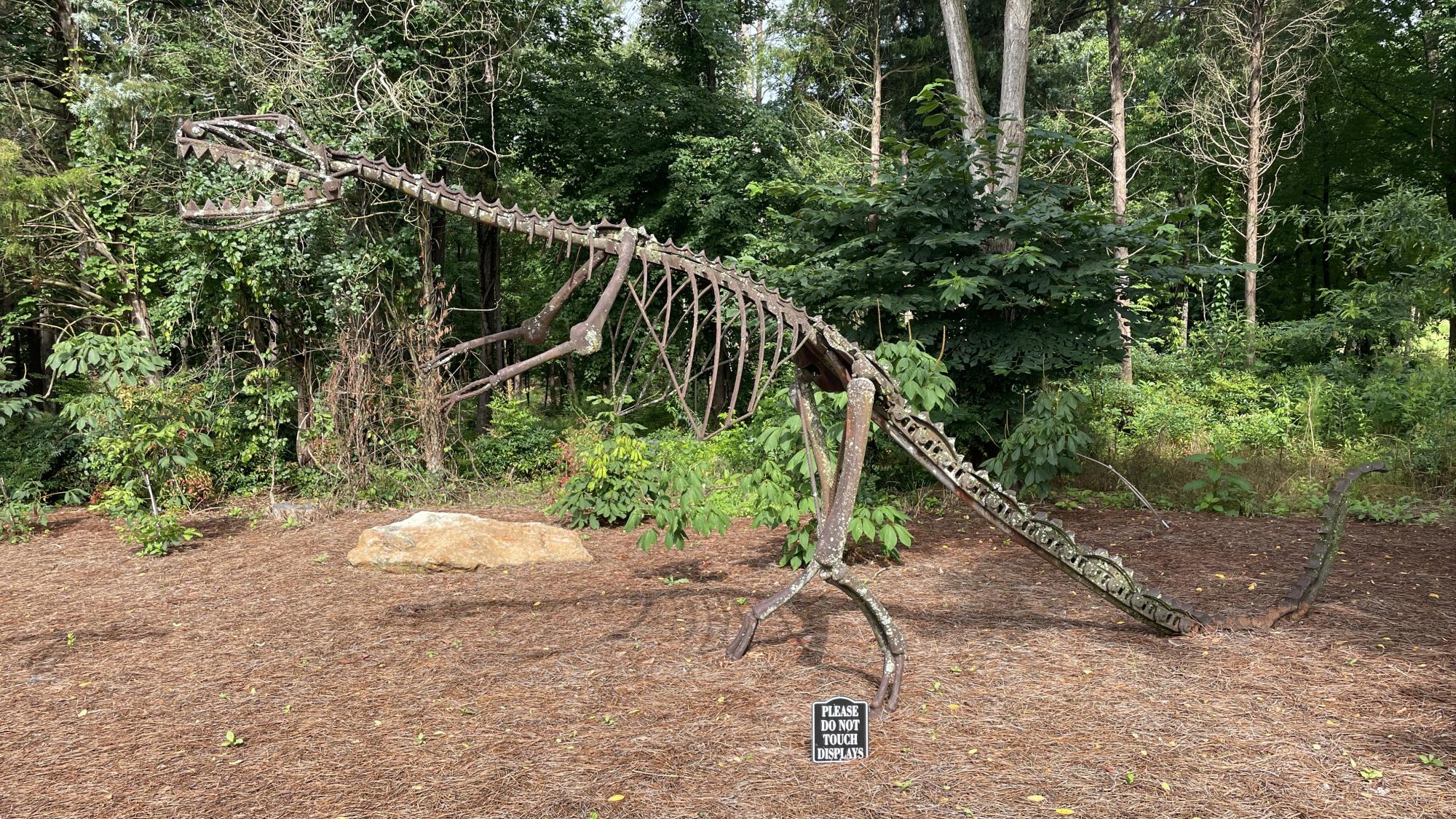 Elliesaurus