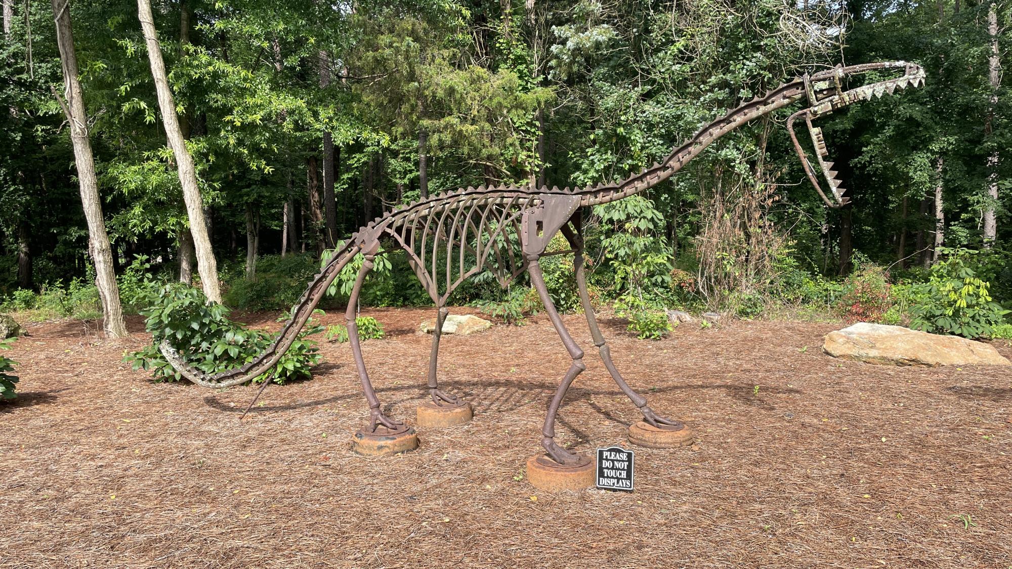 Lewissaurus
