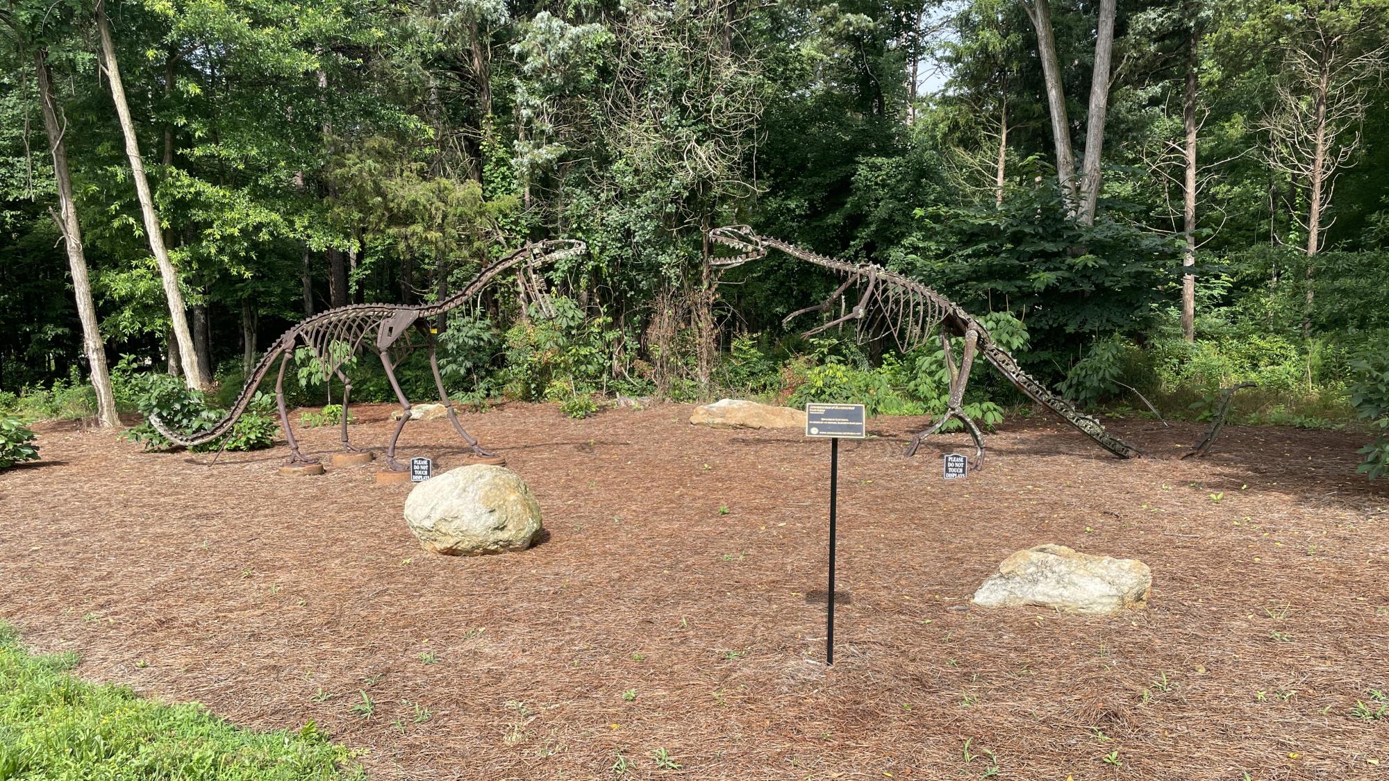 Lewissaurus & Elliesaurus